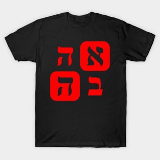 Hebrew Word For Love Ahava Square Grid Red Aesthetic T-Shirt